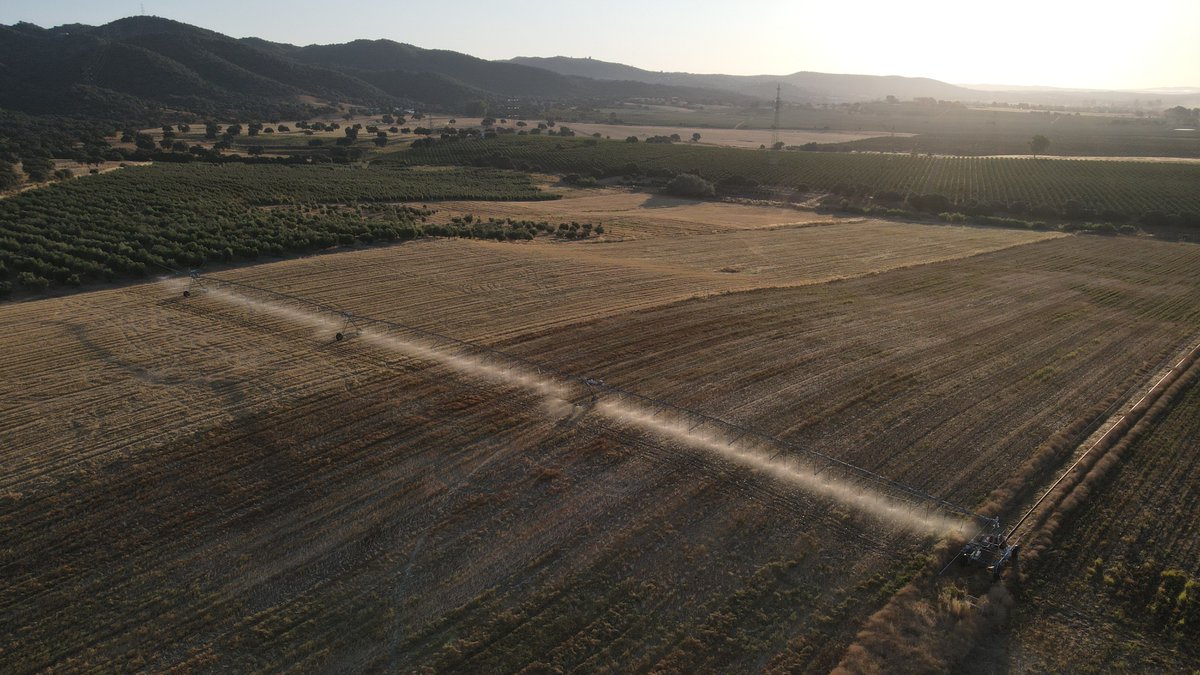 😍 Así de bonita luce la finca de Rabanales con la primera luz del día.

¡Feliz viernes! 🌞
