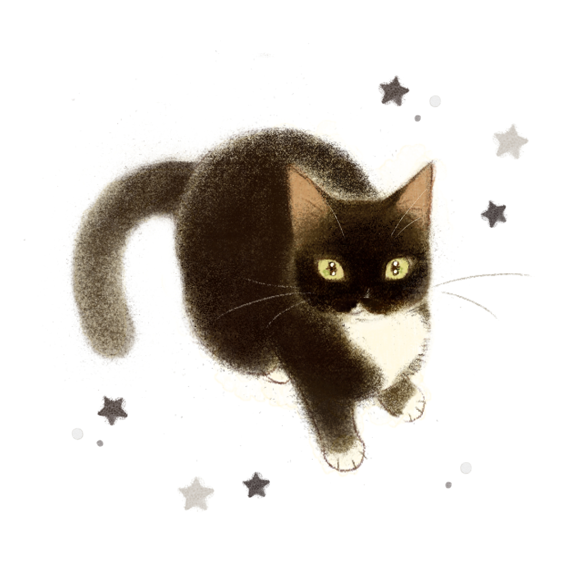 🐈‍⬛🐾🐾