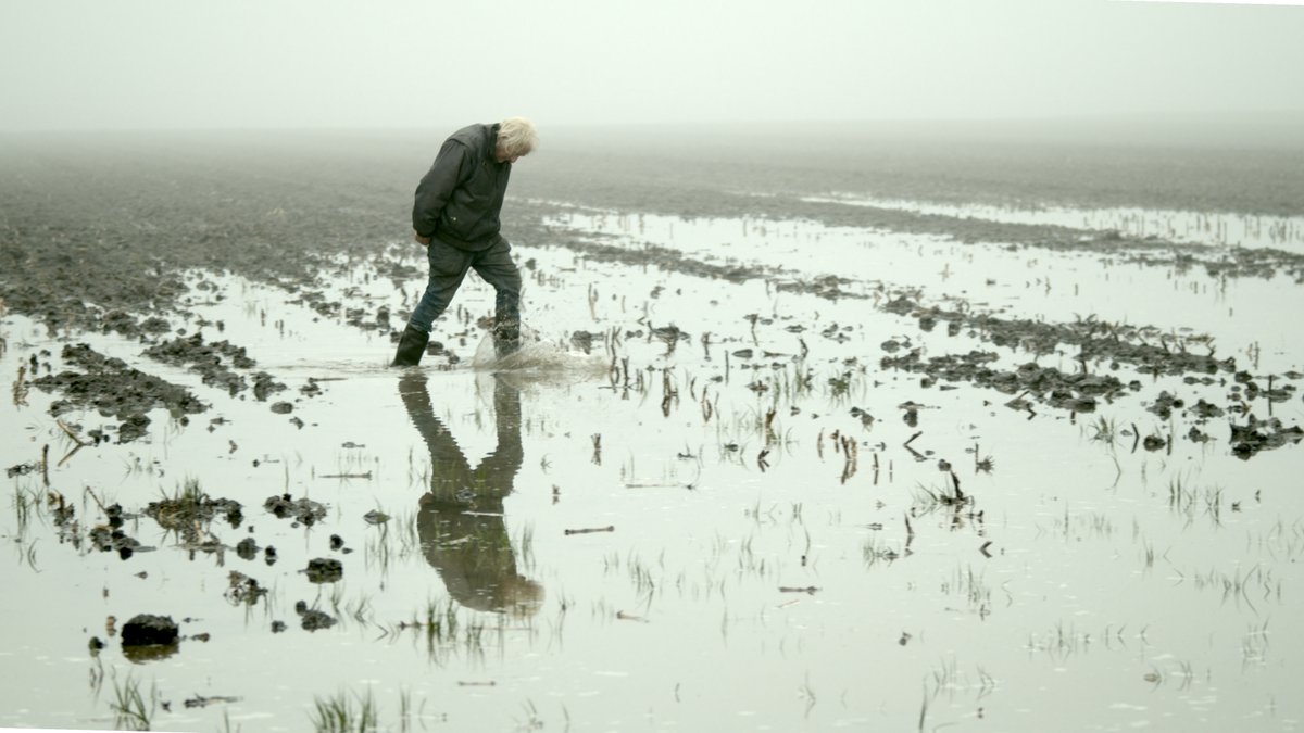 CineDeli tweet media