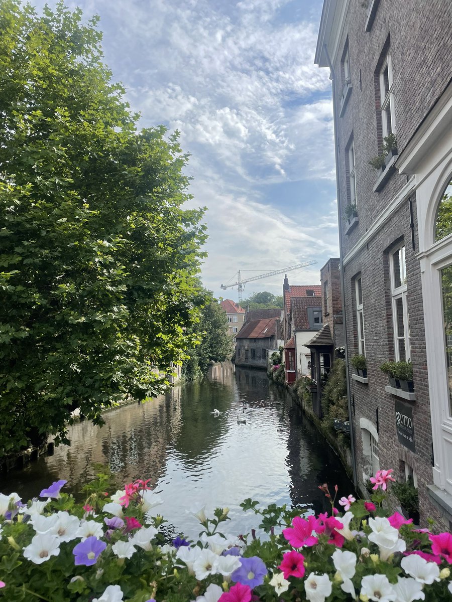 Miss Tiddy 📖 tweet media