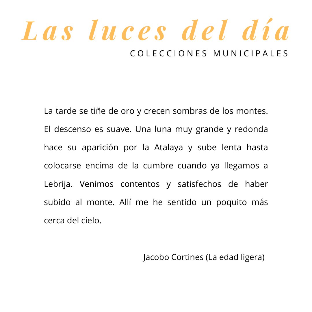 Museo Alcalá de Gra. tweet media