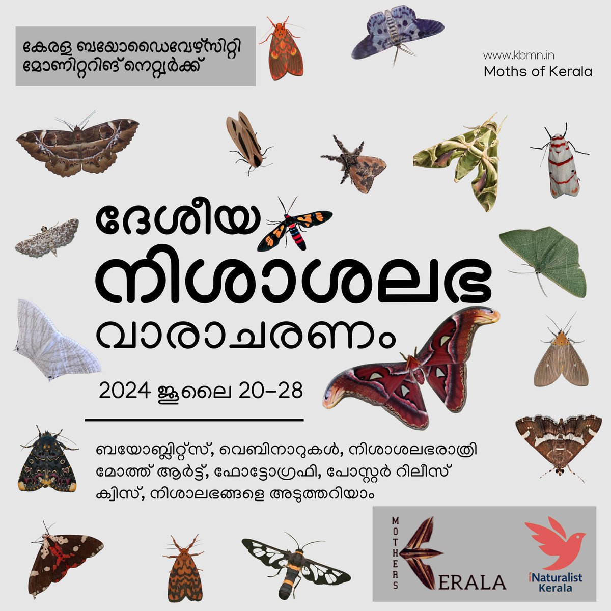 manojkmohan's tweet photo. എന്നെസംബന്ധിച്ച് 2018 മുതൽ തുടങ്ങിയതാണ് വർഷത്തിലൊരിക്കൽ നിശാശലഭങ്ങൾക്കായൊരു ഓൺലൈൻ ഒത്തുകൂടൽ... 

ഇത്തവണയും വിവിധ പരിപാടികളോടെ.... 🦋❤️
https://t.co/JlLnmaMxgu

@Moth_Week @inaturalist @keralabio @DiversityIndia @IndianMoths #MothsofKerala #KealaBiodiversity #NMWKerala https://t.co/927K0gNauK