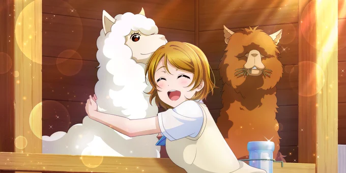 μ'sにメダを当てがうのを考えるとまず花陽にフラッフィヘアは決まりだな、ってなる#メダライブ 
