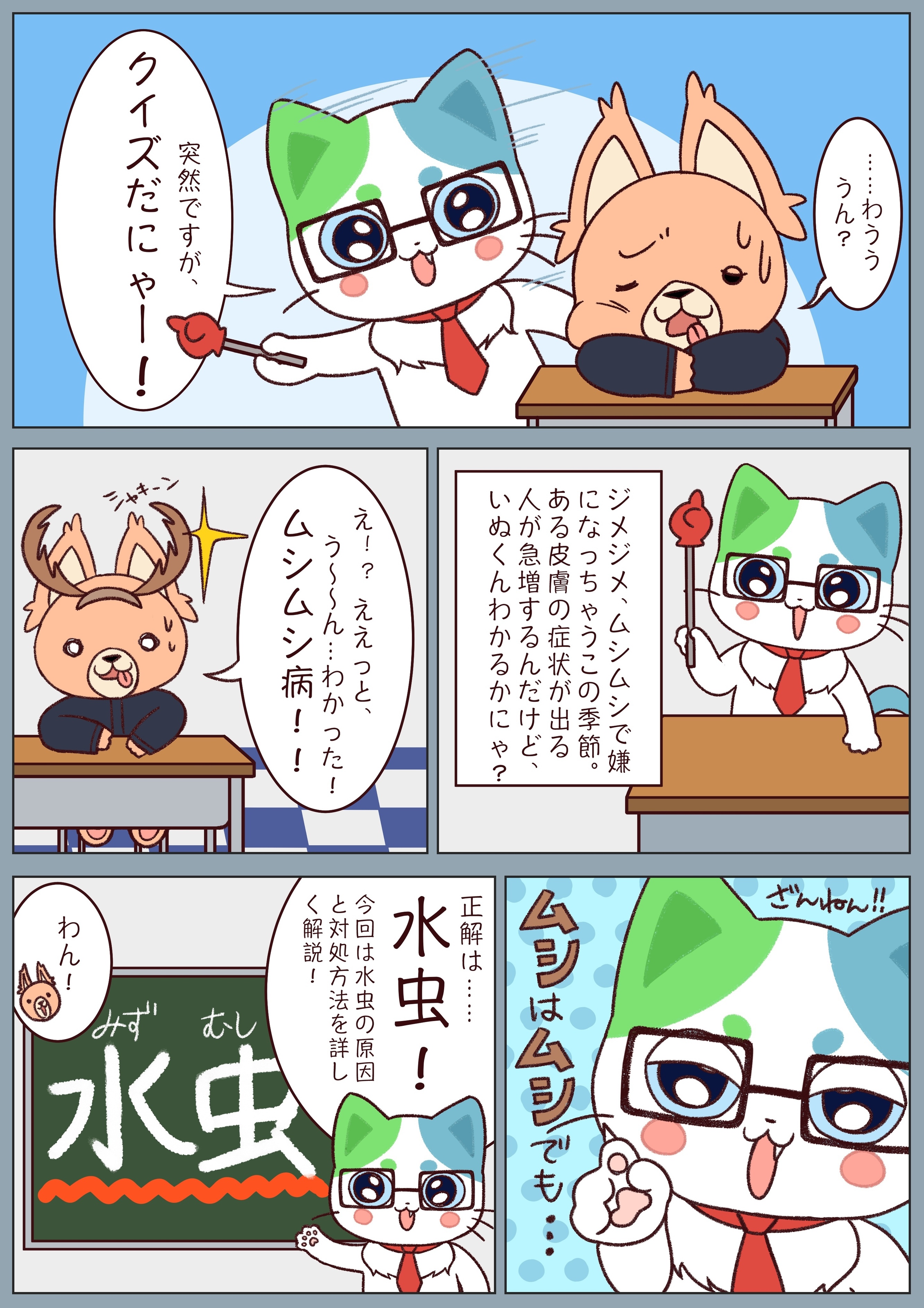 全国20名限定当選品 第一三共 ヘルスケア ねこいちさん ぬいぐるみグッズセット ねこいちさん｜第一三共ヘルスケア