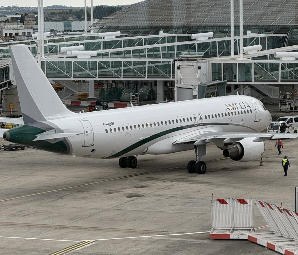 lucchaissac's tweet photo. It's always amazing to see with my own eyes the livery I designed a while back for Amelia in real life ✈️ As a big fan of airplanes, I had a blast working on the brand with @DamienDacosta and @ThomasDimajo ✨

[bad picture I took weeks ago + original design on a smaller plane ✈️] https://t.co/Irs5jP0dwc