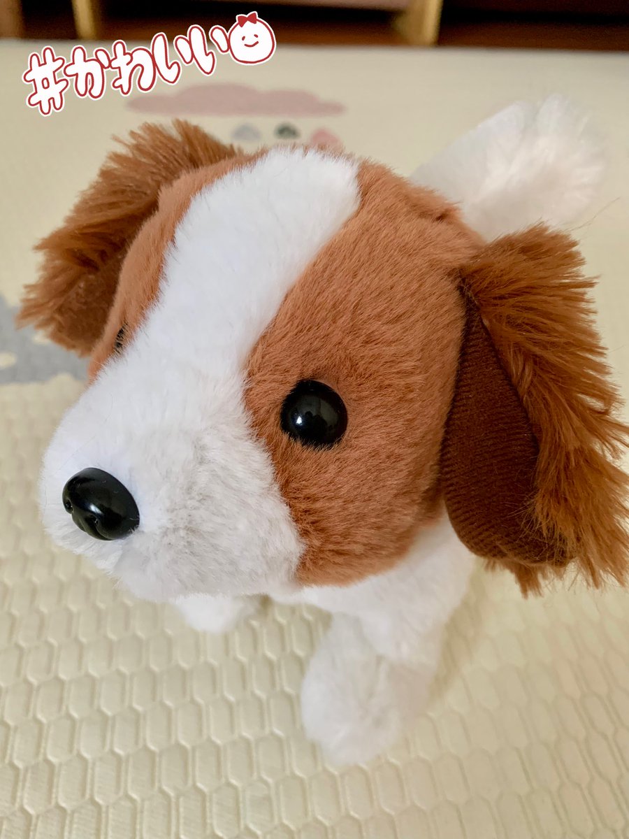 moja_munyu_hige's tweet photo. 体力ありそうなのに全然はいはいしない(ずり這いもしない)9m息子。
ピッコリーネのコイケルちゃん買ったら途端に追いかけるように四つん這いとプランクやり始めた😂😂😂

うわーんイワヤさん本当ありがとう！！！

(ちな対象年齢3yなので目は離しません👀)

#ピッコリーネ https://t.co/TMYspS0Bp3