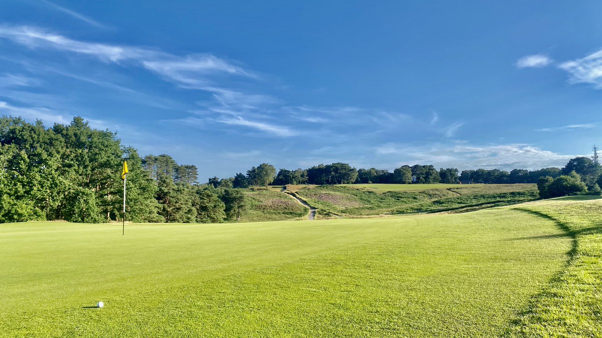 Dorset Golfer tweet media