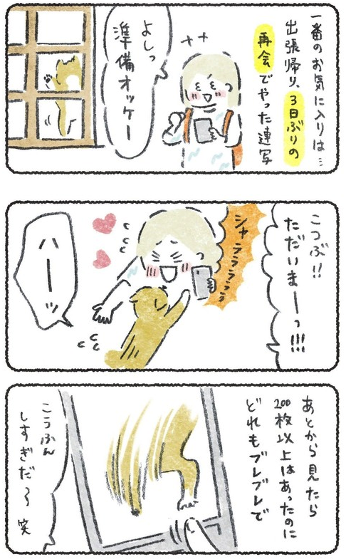 スマホの連写で撮った3日ぶりの犬

*左上の画像が1枚目です 