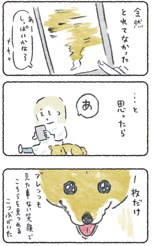 スマホの連写で撮った3日ぶりの犬

*左上の画像が1枚目です 