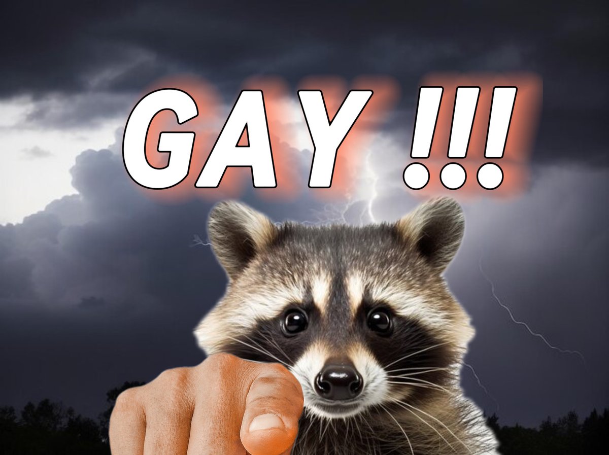 raccoonesthetic's tweet photo. https://t.co/S4bqKfJJo4