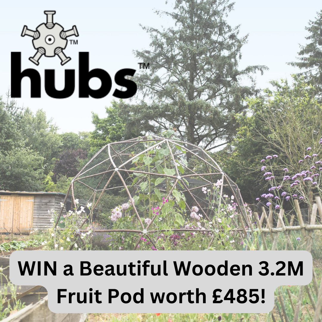 allotmentonline's tweet image. 🪴WINNER ANNOUNCED!🪴

Thank you to all those who entered and to @buildwithhubs for this amazing prize!

Find out who won and who was the runner up: allotmentonline.co.uk/competitions

More fab competition news coming later!🤩

#competition #win #fridaywins #fruitcage #gardenuk #allotmentuk
