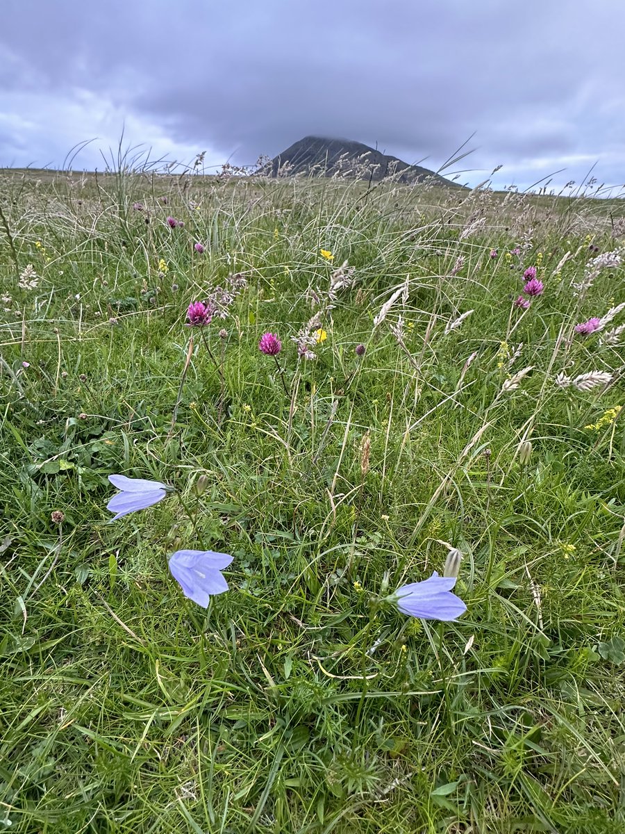 New blog post - Supporting Women’s Health - Let’s Create a Community. I’m thinking of creating a membership community specifically for women’s health drawing on decades of therapeutic work - might you be interested? All thoughts are very welcome.asapoth.com/blogs/news/sup…