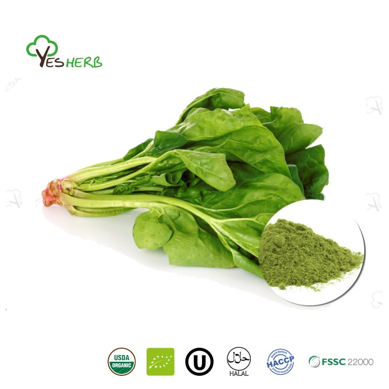 AnYuensun's tweet image. Introducing our China Low Price Spinach Powder, a cost-effective way to add a nutritional punch to your products. Spinach powder is rich in essential vitamins and minerals, making it a versatile ingredient for various applications.
#Spinach #VegetablePowder #HealthyEating #Health