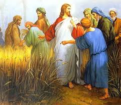 "Cristo infatti è più grande del sabato e in lui opera la fede evangelica, che non è colpevole di trasgressione
della Legge."

Ilario di Poitiers
#dalvangelodelgiorno