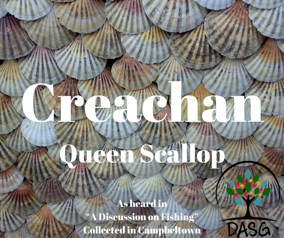 DASG_Glaschu's tweet photo. #DASG - CLUAS RI CLAISNEACHD
Collected in #Campbeltown by Angus Martin
🏴
"CREACHAN" - QUEEN #SCALLOP
🐚
https://t.co/PVpDU1bC7R
🌊
#CeannLochChilleChiarain #CinnTìre #Kintyre #Maorach #Shellfish
⛵
#KintyreGaelic #Gàidhlig #ScottishGaelic
#DigitalArchiveofScottishGaelic https://t.co/ggmgoeiuVe