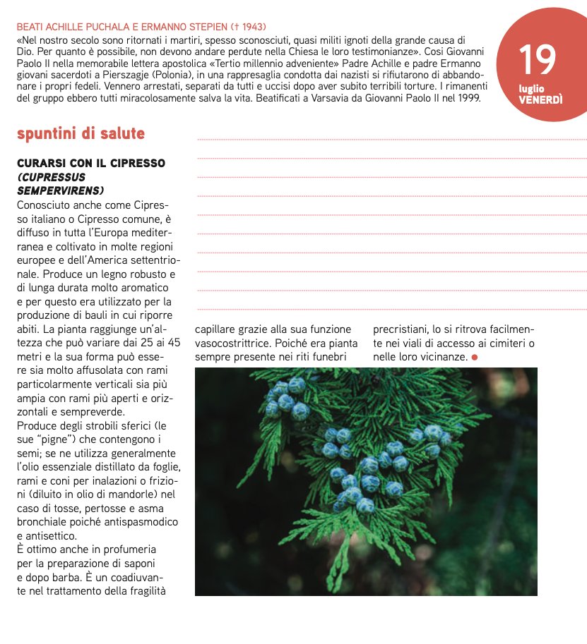 Tutte le proprietà che non ti aspetti del cipresso! Su Adesso2024