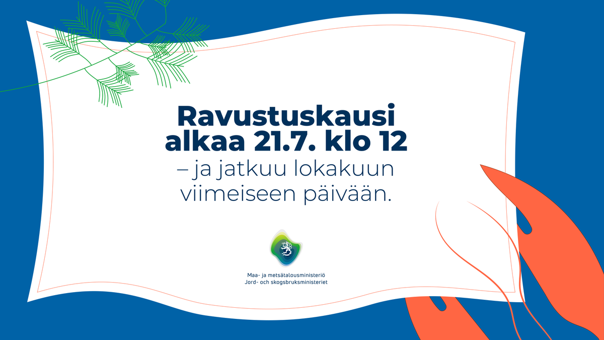 mmm_fi's tweet photo. 🦀 Ravustuskausi alkaa 21.7. klo 12, käy ennen sitä tutustumassa ravustajan muistilistaan ➡ https://t.co/gbCRi1u5sm
#ravustus #rapukausi #rapu #kalastus #kesä https://t.co/cFjgPa6mx8