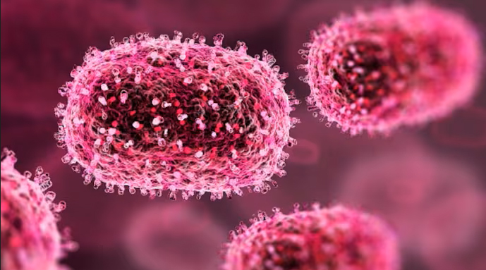 samironwebtrack's tweet photo. Chandipura Virus: Understanding Symptoms, Transmission, and Prevention - https://t.co/oVwHGjtuPD

#ChandipuraVirus #AcuteEncephalitis #SandflyBorne #ProtectChildren #PublicHealth #PreventiveMeasures #StopTheBite #India #SandflyControl https://t.co/0mJ8ytUW5I