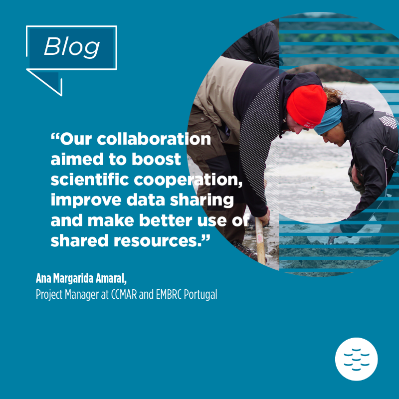 EMBRC_EU's tweet photo. #EMBRCBlog I 👉 #TREC
The @EMBLtrec expedition has finished!
📅 April 2023 to July 2024
📍 22 countries across Europe
👉120+ land-sea transects
👉12 EMBRC sites visited
🤝 We were privileged to work with @EMBL & @taraocean_ on this project
@BIOcean5D @HorizonEU @CienciasDoMar