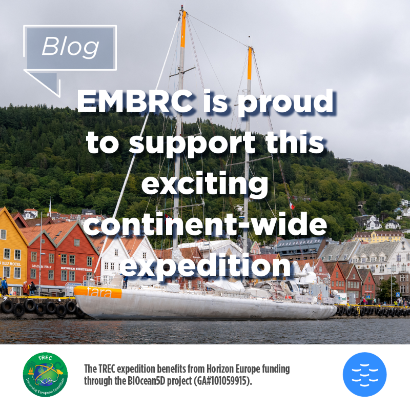EMBRC_EU's tweet photo. #EMBRCBlog I 👉 #TREC
The @EMBLtrec expedition has finished!
📅 April 2023 to July 2024
📍 22 countries across Europe
👉120+ land-sea transects
👉12 EMBRC sites visited
🤝 We were privileged to work with @EMBL & @taraocean_ on this project
@BIOcean5D @HorizonEU @CienciasDoMar
