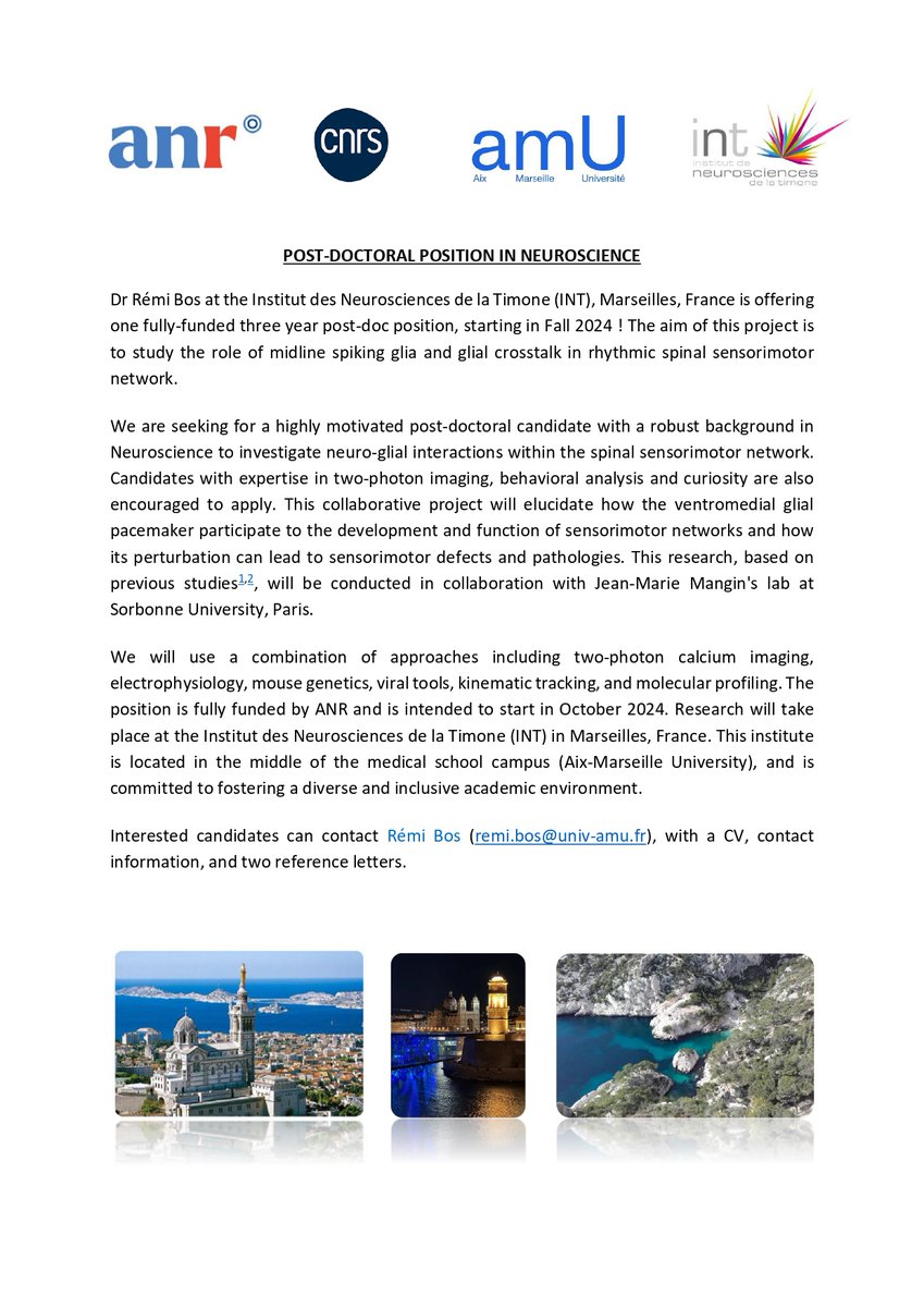 Rémi_Bos tweet media