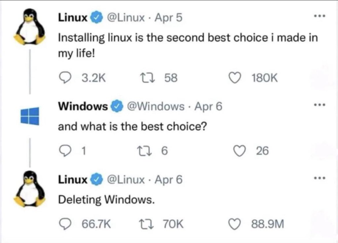 DS 🪝🧬🟧🟦🍌🦍🧪 tweet media