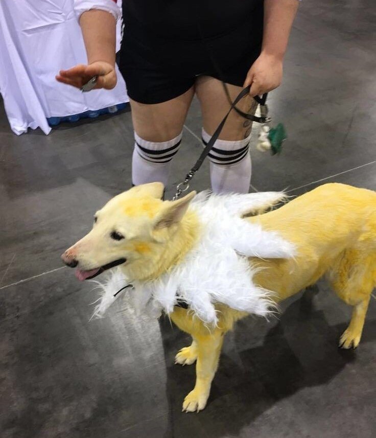 deme19080049's tweet photo. @ShunYudam Jolteon 👍 https://t.co/xSOe3CnzAW