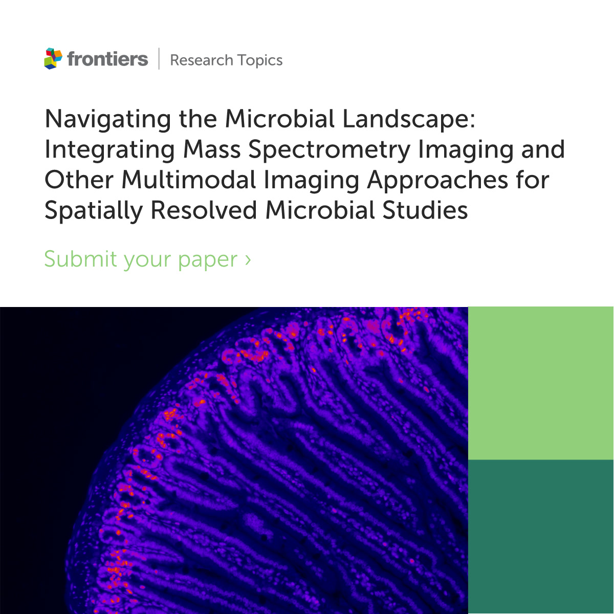 FrontInfectDis's tweet photo. 📣Submissions now open for manuscripts on Mass Spectrometry Imaging and other #MultimodalImaging approaches for Spatially Resolved #Microbial Studies📣

Find out more and submit here ➡️https://t.co/8yrXLMQ7jb https://t.co/U0KxuyruFP