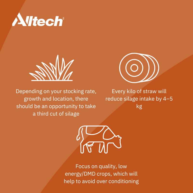 Did you know our InTouch team can help you prepare your farm for winter feeding? 

Check out the 9 ways in which you can get the best results from your winter feed stocks.

For further info on preparing for winter feedings, contact InTouch on 0599101320