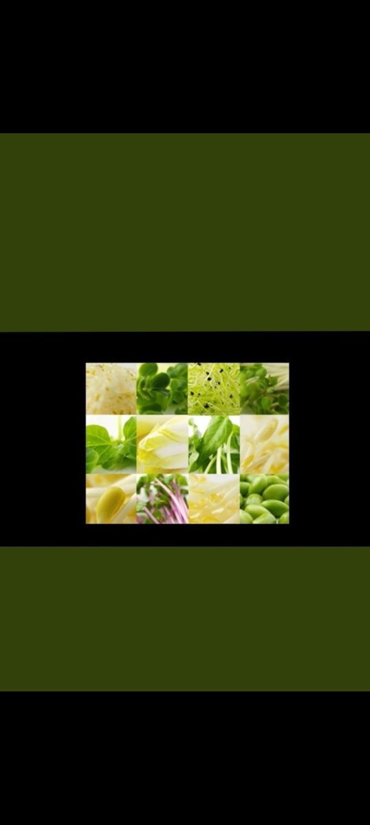 Naruki igarashi 9 (@g5z28) on Twitter photo <a href="/cjnapoet/">Connie N Ahlberg</a> @DesertPrimrose <a href="/sandraldantas13/">Sandra Dantas</a> <a href="/ivancampos59/">Ivan Campos</a> <a href="/DJdZ8EdB2hmJ3R4/">محمد جاويش Mohammed Gawish</a> <a href="/robleamusic/">Robert Leach</a> <a href="/BFScreenwriter/">B R Fleming, Author</a> <a href="/ajscience/">AJSCIENCE</a> <a href="/sobertj/">Tami Johnson</a> <a href="/ConstanceCorne9/">Constance Cornelia Williams</a> <a href="/photography_ema/">Ema Photography</a> <a href="/m_cicekdagi32/">mevlütbey</a> <a href="/ZmJlWEsSUCAa7Zg/">Jiyoung Park</a> <a href="/JohnCordBooks2/">John Cord Books</a> <a href="/SafetyMentalst/">Jerry Rome Bass</a> <a href="/MMbeats5/">M.M.beats</a> <a href="/thanosar/">Thanos</a> <a href="/BirnCardoso/">Michael Hasan #قروبات_البابلي_للاضافات</a> <a href="/sdnativejoe/">Joe</a> <a href="/ASSticons/">ASSticons</a> <a href="/Magdale15260570/">Magdalena García Ruiz</a> <a href="/ManishP78396947/">Manish Pardeshi</a> <a href="/products_hot/">Hot_Products</a> <a href="/ivon_ehd1/">Ivon Prefontaine PhD</a> <a href="/heroldbarton/">herold barton</a> <a href="/Faraz__Iqbal/">FI</a> <a href="/DuntavsDaniel/">Danthiel Dumar</a> <a href="/AntonioRquiles/">Antonio Aviles</a> <a href="/MohdAni18553623/">Mohd Anish</a> <a href="/MDRA2h2rfeaNNnB/">محمد سعدالدين</a> <a href="/steveiknife/">Steve H</a> <a href="/AnairisEspinal1/">Ana iris Espinal Almonte</a> <a href="/RafaelQ19287372/">Rafael Quintero</a> <a href="/MarkLouisHudson/">Mark Louis Hudson</a> <a href="/JohnLew81263270/">John Lewis</a> <a href="/BOCIEK1919/">🇵🇱Bociek19🇵🇱</a> <a href="/Omer03282083/">ÖMER TURAN.</a> <a href="/gauloise821/">gauloise821</a> <a href="/AnorRomya/">🏹🇦🇹🏹Anor Romya</a> <a href="/RobynDaily16/">The Merle Frenchies</a> <a href="/RoseSmi92658522/">Rose Smith</a> <a href="/MoharSi17805407/">महान शक्ति अखंड भारत जिला जालौन झांसी</a> <a href="/49julian/">Julian</a> <a href="/PalaceRiches/">Matthew Jacob</a> <a href="/KatarinaHultin/">White rose</a> <a href="/AdamMichaelSmi4/">Adam Michael Smith</a> <a href="/JuanaGonza66993/">Gabriela andrada Updates</a> <a href="/KailashGau61883/">Kailash Gaur Jwalamukhee//Writer&meadia incharge</a> <a href="/Valerie96104041/">Valerie</a> ハンバーガー<月面着陸>&夏割ドリンク<千尋神隠>(ハンバーガー<ツキメンチャクリク>&ナツワリドリンク<チヒロカミカクシ>)・新瑠璃カレーパン<新発毛材>&新八重発芽<新智恵子抄>(シンルリカレーパン<シンハツモウザイ>&シンヤエハツガ<シンチエコショウ>)の日は7月20日。 <a href="/cjnapoet/">Connie N Ahlberg</a> @DesertPrimrose <a href="/sandraldantas13/">Sandra Dantas</a> <a href="/ivancampos59/">Ivan Campos</a> <a href="/DJdZ8EdB2hmJ3R4/">محمد جاويش Mohammed Gawish</a> <a href="/robleamusic/">Robert Leach</a> <a href="/BFScreenwriter/">B R Fleming, Author</a> <a href="/ajscience/">AJSCIENCE</a> <a href="/sobertj/">Tami Johnson</a> <a href="/ConstanceCorne9/">Constance Cornelia Williams</a> <a href="/photography_ema/">Ema Photography</a> <a href="/m_cicekdagi32/">mevlütbey</a> <a href="/ZmJlWEsSUCAa7Zg/">Jiyoung Park</a> <a href="/JohnCordBooks2/">John Cord Books</a> <a href="/SafetyMentalst/">Jerry Rome Bass</a> <a href="/MMbeats5/">M.M.beats</a> <a href="/thanosar/">Thanos</a> <a href="/BirnCardoso/">Michael Hasan #قروبات_البابلي_للاضافات</a> <a href="/sdnativejoe/">Joe</a> <a href="/ASSticons/">ASSticons</a> <a href="/Magdale15260570/">Magdalena García Ruiz</a> <a href="/ManishP78396947/">Manish Pardeshi</a> <a href="/products_hot/">Hot_Products</a> <a href="/ivon_ehd1/">Ivon Prefontaine PhD</a> <a href="/heroldbarton/">herold barton</a> <a href="/Faraz__Iqbal/">FI</a> <a href="/DuntavsDaniel/">Danthiel Dumar</a> <a href="/AntonioRquiles/">Antonio Aviles</a> <a href="/MohdAni18553623/">Mohd Anish</a> <a href="/MDRA2h2rfeaNNnB/">محمد سعدالدين</a> <a href="/steveiknife/">Steve H</a> <a href="/AnairisEspinal1/">Ana iris Espinal Almonte</a> <a href="/RafaelQ19287372/">Rafael Quintero</a> <a href="/MarkLouisHudson/">Mark Louis Hudson</a> <a href="/JohnLew81263270/">John Lewis</a> <a href="/BOCIEK1919/">🇵🇱Bociek19🇵🇱</a> <a href="/Omer03282083/">ÖMER TURAN.</a> <a href="/gauloise821/">gauloise821</a> <a href="/AnorRomya/">🏹🇦🇹🏹Anor Romya</a> <a href="/RobynDaily16/">The Merle Frenchies</a> <a href="/RoseSmi92658522/">Rose Smith</a> <a href="/MoharSi17805407/">महान शक्ति अखंड भारत जिला जालौन झांसी</a> <a href="/49julian/">Julian</a> <a href="/PalaceRiches/">Matthew Jacob</a> <a href="/KatarinaHultin/">White rose</a> <a href="/AdamMichaelSmi4/">Adam Michael Smith</a> <a href="/JuanaGonza66993/">Gabriela andrada Updates</a> <a href="/KailashGau61883/">Kailash Gaur Jwalamukhee//Writer&meadia incharge</a> <a href="/Valerie96104041/">Valerie</a> ハンバーガー<月面着陸>&夏割ドリンク<千尋神隠>(ハンバーガー<ツキメンチャクリク>&ナツワリドリンク<チヒロカミカクシ>)・新瑠璃カレーパン<新発毛材>&新八重発芽<新智恵子抄>(シンルリカレーパン<シンハツモウザイ>&シンヤエハツガ<シンチエコショウ>)の日は7月20日。