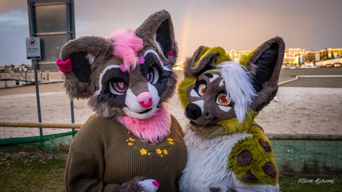 🌸 Harper 🌸 🔜 MFC 2025 🐾 (@harperraccoon) on Twitter photo 🩷💚 happy #fursuitfriday i can’t wait for aurawra next week ♡
📸 by <a href="/KitsuneAlchemy/">Kitsune Alchemy | キツーン・アルケミー</a> 🩷💚 happy #fursuitfriday i can’t wait for aurawra next week ♡
📸 by <a href="/KitsuneAlchemy/">Kitsune Alchemy | キツーン・アルケミー</a>
