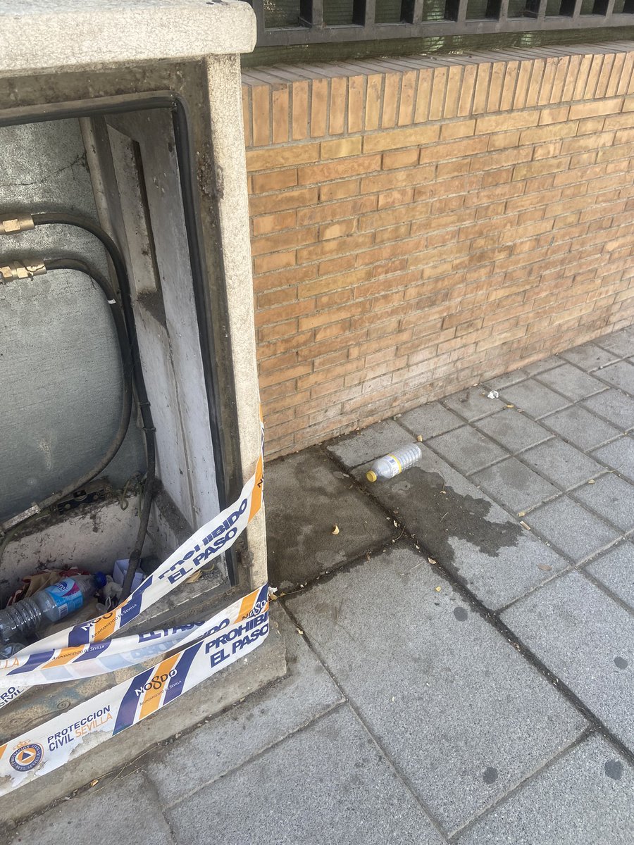 María Pinillos Ramos tweet media