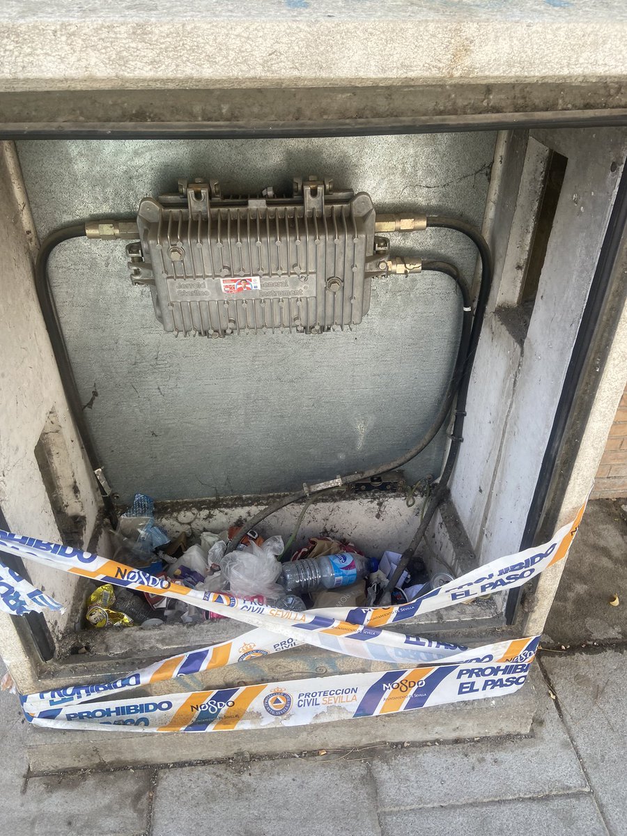 María Pinillos Ramos tweet media