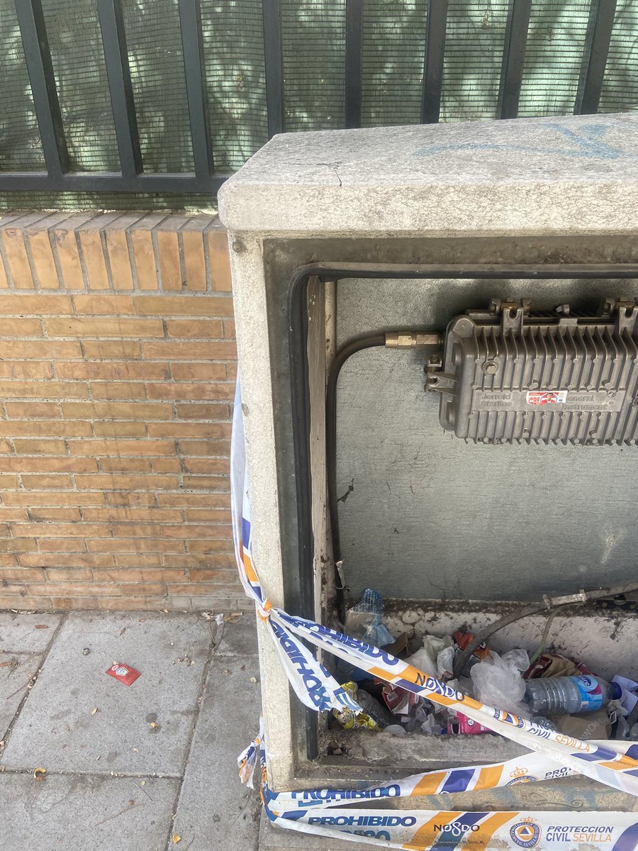 María Pinillos Ramos tweet media