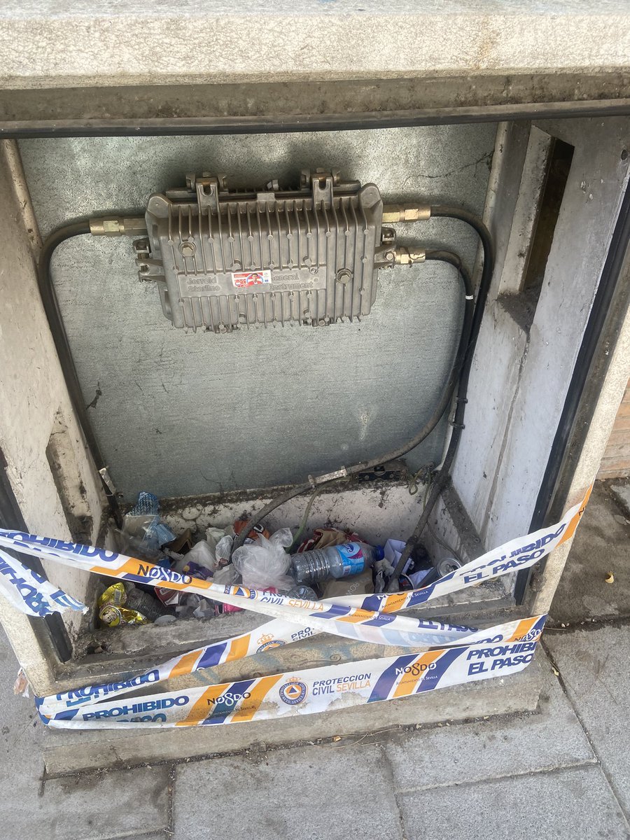 María Pinillos Ramos tweet media