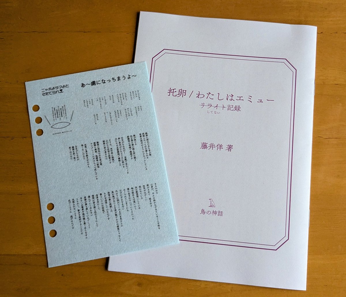 鳥の神話(<a href="/hitohitsuji/">藤井佯</a>)さんの「託卵/わたしはエミュー リライト(してない)記録」と、詩ステッカー。ソロ参加でバタバタしていたのであまりお話できず…切羽詰まるような作品制作の舞台裏を手に取るように眺めることができます。詩ステッカーは手帳に貼ろうかな。
#星々文芸博