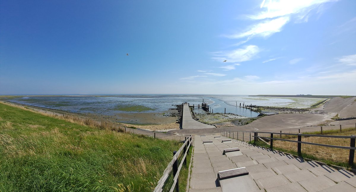 Heleenverduijn's tweet photo. Het is eb. Ik sta op de dijk met de telescoop en geniet van de vele vogels!
Welkom vandaag bij @natuurdigitaal #vogelinformatiecentrum, #haventjevanSil #decocksdorp of 1 van de andere vogelplekken op @gemeentetxl 
@NPTexel @NMTexel @staatsbosbeheer @vogelnieuws @Vogelskijkennl https://t.co/8AAMJBGDtC