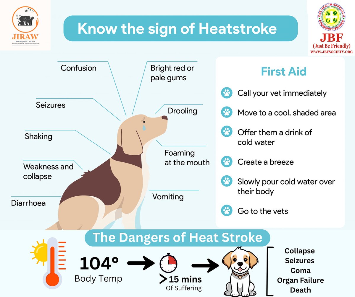 JustBFriendly's tweet photo. During extremely #hightemperature an #animalsl will struggle to lose excess body #heat through evaporation

"𝙏𝙝𝙞𝙨 𝙞𝙨 𝙣𝙤𝙩 𝙖𝙣 𝙞𝙣𝙙𝙞𝙫𝙞𝙙𝙪𝙖𝙡 𝙖𝙘𝙘𝙤𝙪𝙣𝙩 𝘼 𝙏𝙧𝙪𝙨𝙩 𝙖𝙘𝙘𝙤𝙪𝙣𝙩, 𝙮𝙤𝙪 𝙘𝙖𝙣 𝙏𝙍𝙐𝙎𝙏"

https://t.co/fq77pvsxym

#heating #heatenvironment https://t.co/iZwHjm3DvF
