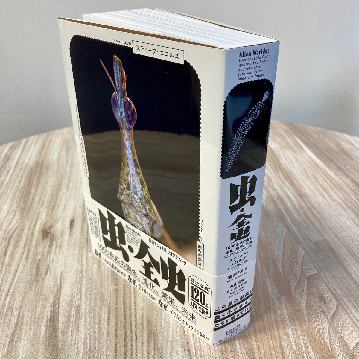 ナショナルジオグラフィック日本版 على X: ナショナルジオグラフィック日本版 على X: