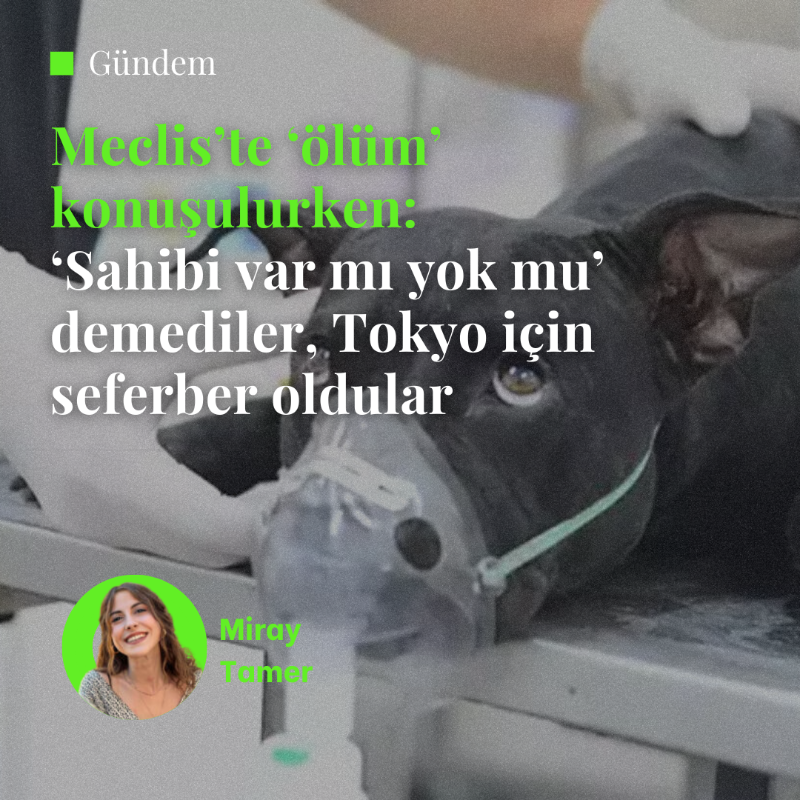 _10Haber's tweet photo. Meclis’te ‘ölüm’ konuşulurken: ‘Sahibi var mı yok mu’ demediler, Tokyo için seferber oldular

🖊️ Miray Tamer [@mmiraytamer]