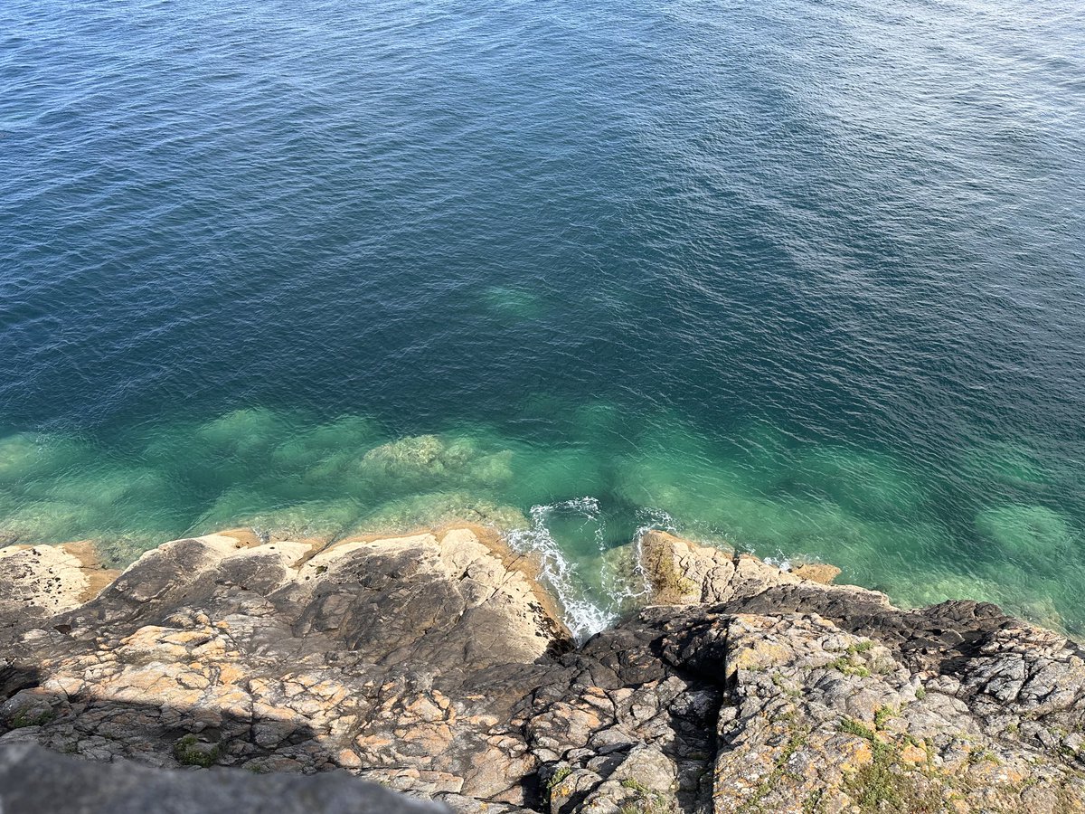 Christian Brunier tweet media