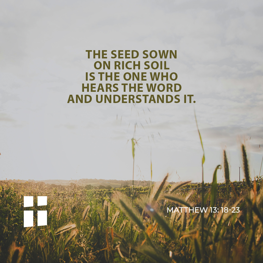 ➡️ Read today’s Gospel here - ow.ly/tqrM30gkyoR

Join us for Mass at 9:30am on church.mt or on Archdiocese of Malta Facebook page
.
.
#bible #prayer #scripture #jesus #catholic #christian #gospel #jesuschrist #christianposts