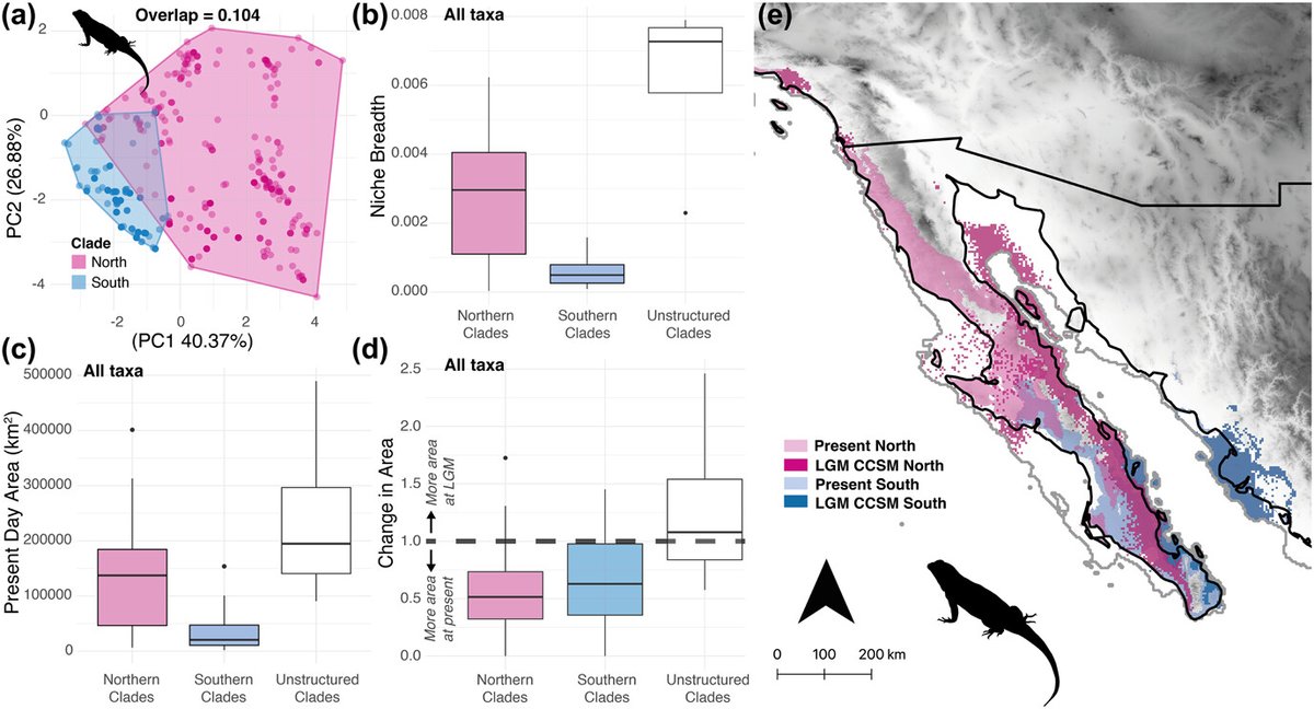 EcographyJourna's tweet photo. Habitat quality or quantity? Niche marginality across 21 plants and animals suggests differential responses between highland and lowland species to past climatic changes https://t.co/LoMI8QQahR #ENM #Niche #SDM @NordicOikos @WileyEcolEvol https://t.co/cS3fV6pSet