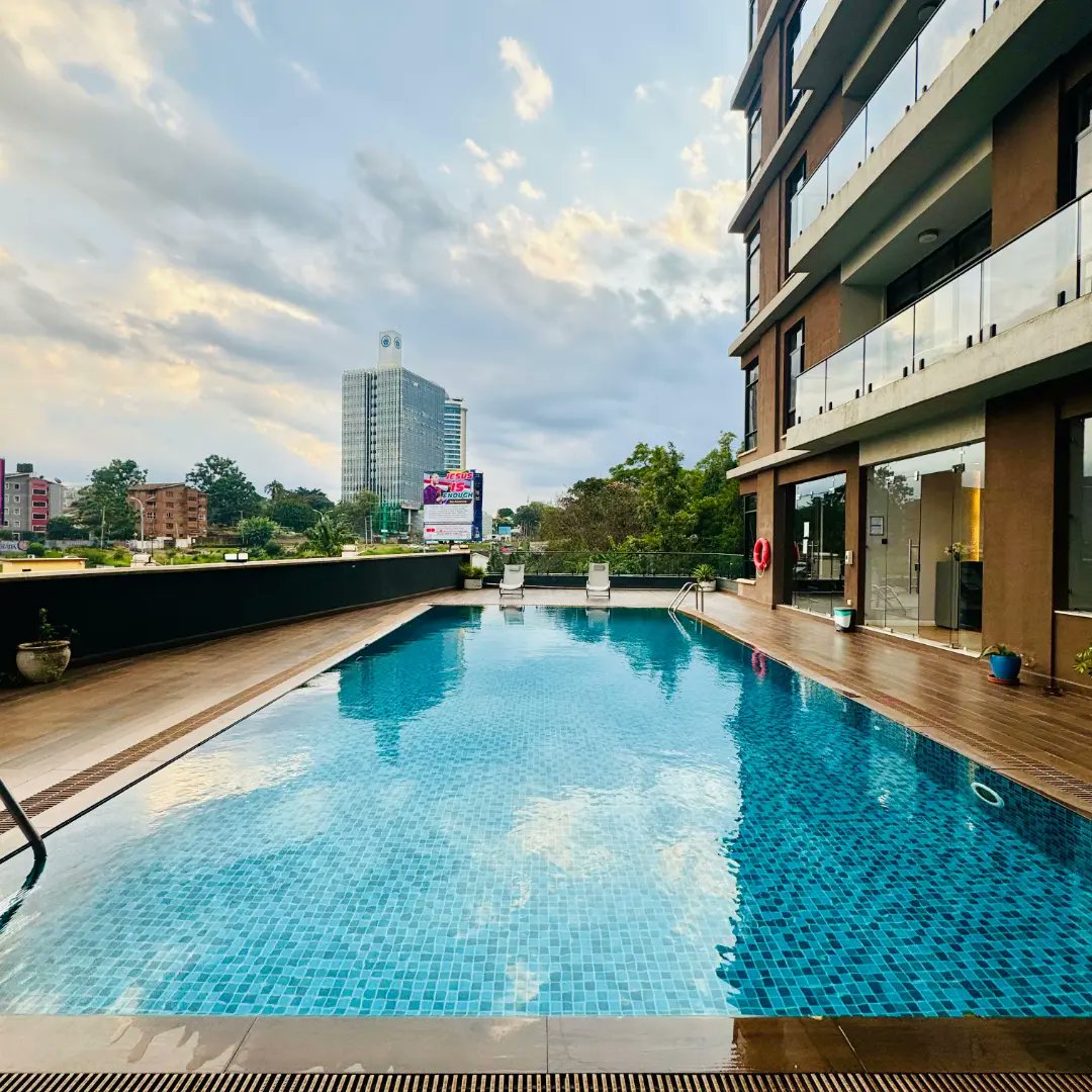 Daniel Many tweet media