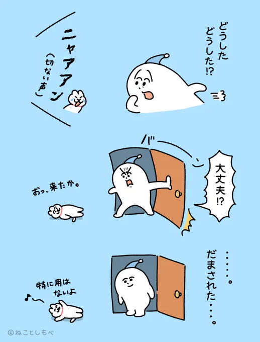 切ない声で飼い主を呼ぶねこ 