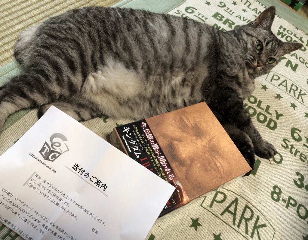 mona3735's tweet photo. なんとなんと南都六宗！
コンプリートBlu-rayBOXが当選してしまいました！
ステッカー目当てで応募したのに身に余る幸運！
またキングダムの沼にどっぷり浸かります！
ありがとうございました🥰
#キングダム
#世界の終わりが始まる https://t.co/EMQnVRmy1n