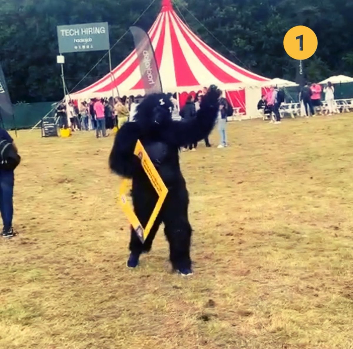 GorillaATS's tweet photo. Which Gorilla are you today? 🦍

1. Groovy Gorilla 
2. Grumpy Gorilla 
3. Get me out of here Gorilla 
4. Glam Gorilla 

Let us know in the comments below 👇

#ChooseChoice #WhatWouldYouChoose #Mood https://t.co/OBWeBFDaii