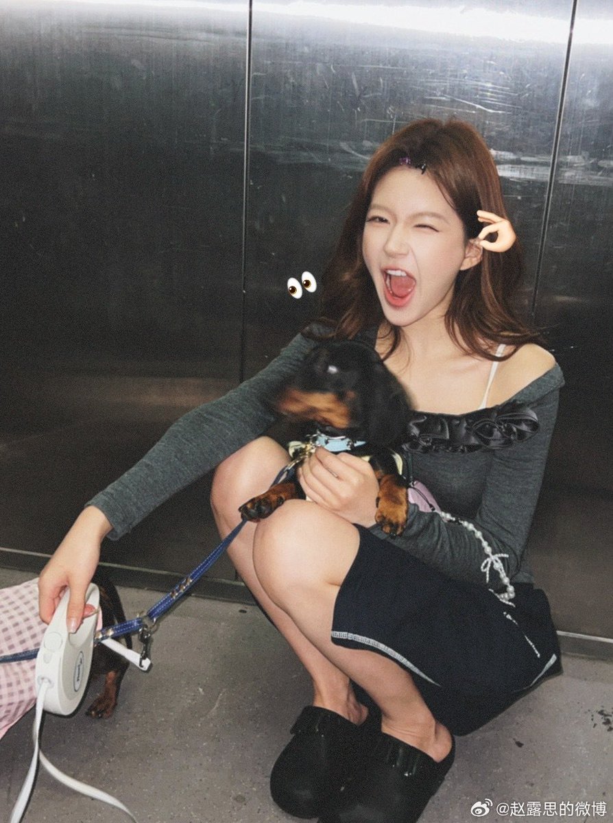 Zhao Lusi Graphic tweet media