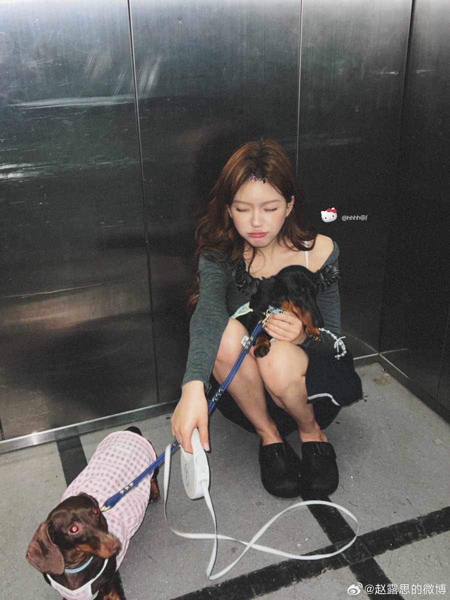 Zhao Lusi Graphic tweet media