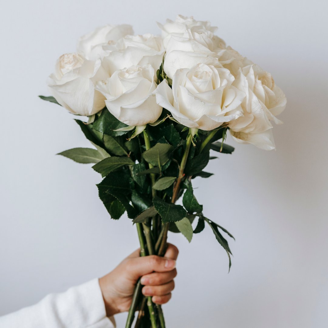 HSCFoundation's tweet photo. Manitoba, you ‘rose’ to the occasion! This past spring we partnered with @saveonfoods for their #BunchesofLove campaign, where they donated 100% of the proceeds of bouquet &amp; potted plant sales to women’s health at @hsc_winnipeg and other women’s health initiatives across Canada. https://t.co/LWj3YHojxj